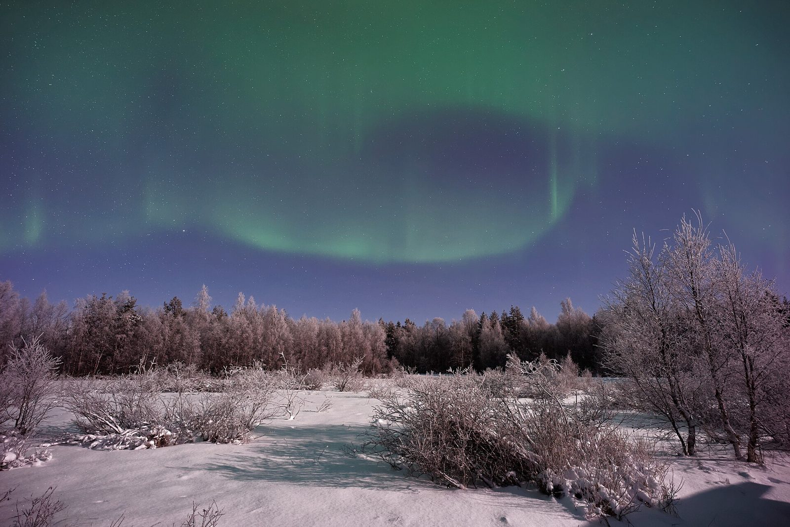 Finnish Lapland: Northern Lights and Snow in 7 Days