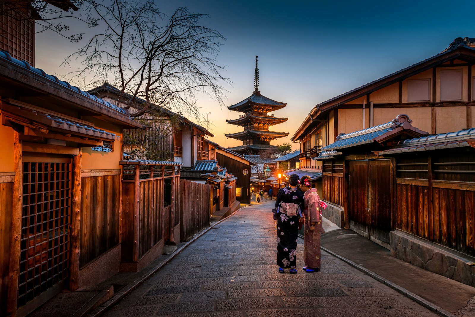 Japan in Spring: Complete Hanami Guide