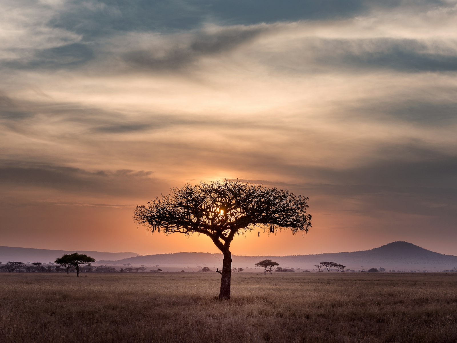 South Africa: Safari, Vineyards and Cape Town in 10 Days