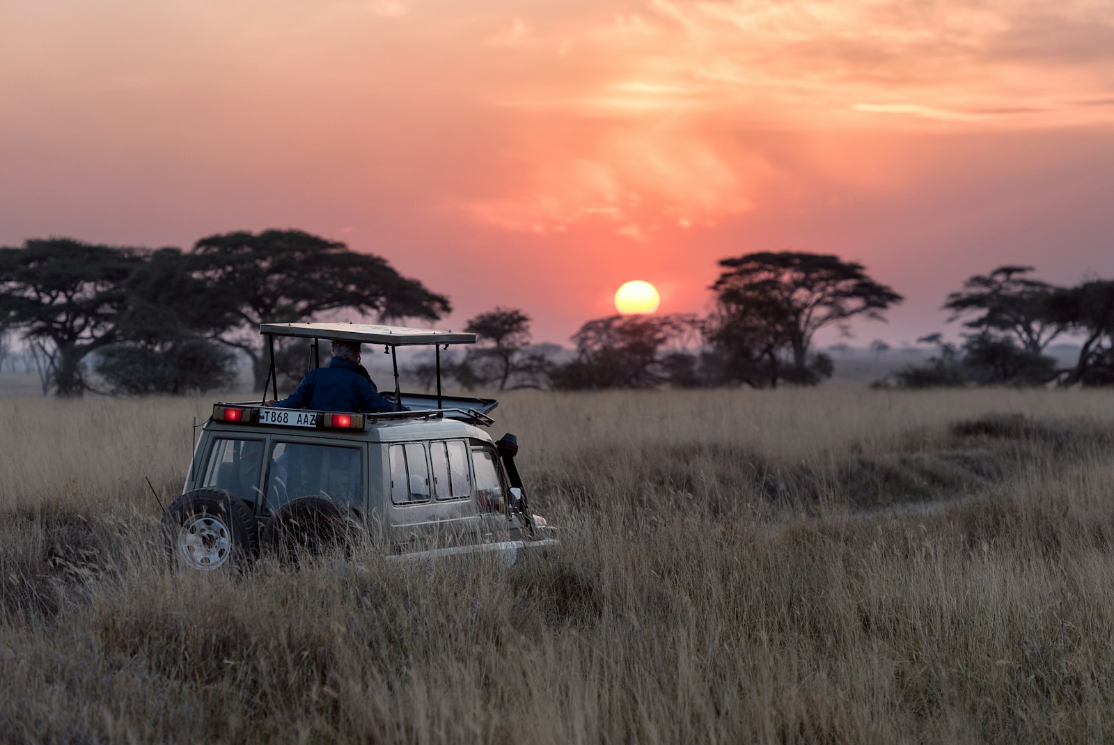 Tanzania: Serengeti, Zanzibar and Kilimanjaro in 12 Days